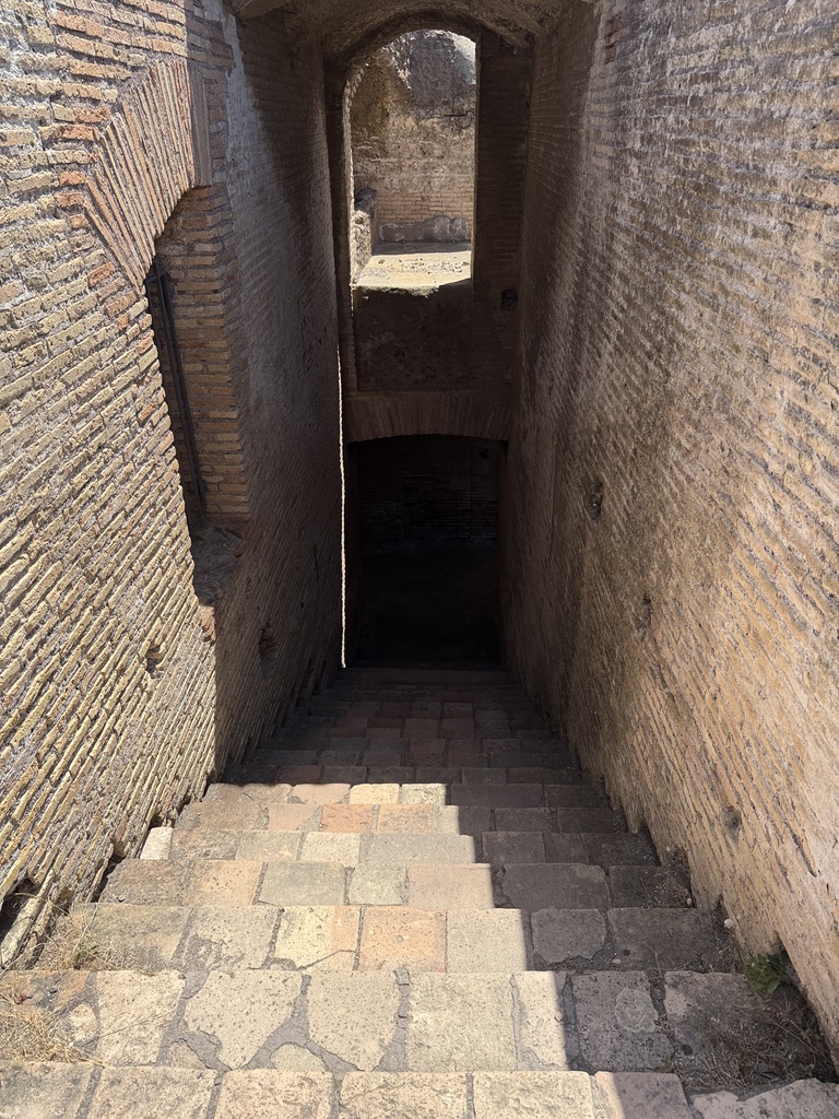  House of the Charioteers: stairwell 